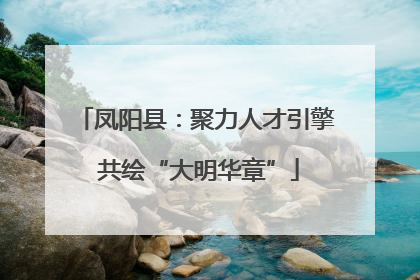 凤阳县：聚力人才引擎 共绘“大明华章”