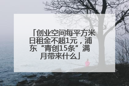 创业空间每平方米日租金不超1元，浦东“青创15条”满月带来什么