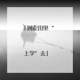 到麦田里“上学”去