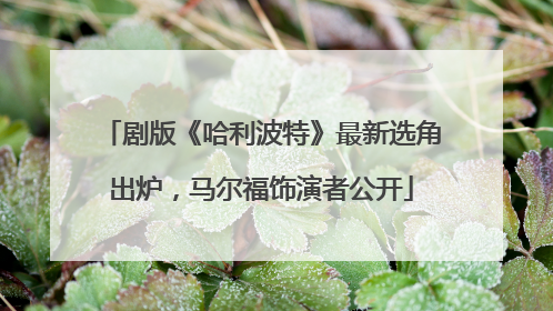 剧版《哈利波特》最新选角出炉，马尔福饰演者公开