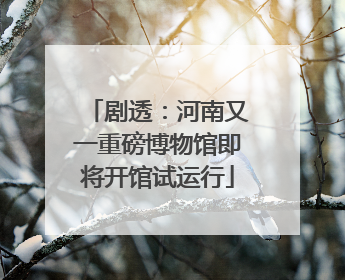 剧透：河南又一重磅博物馆即将开馆试运行