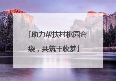 助力帮扶村桃园套袋，共筑丰收梦