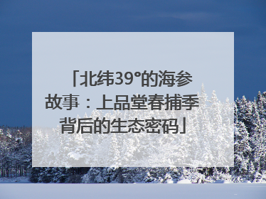 北纬39°的海参故事：上品堂春捕季背后的生态密码