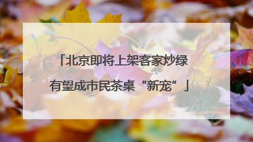 北京即将上架客家炒绿 有望成市民茶桌“新宠”