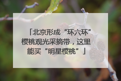 北京形成“环六环”樱桃观光采摘带，这里能买“明星樱桃”