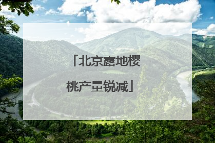 北京露地樱桃产量锐减