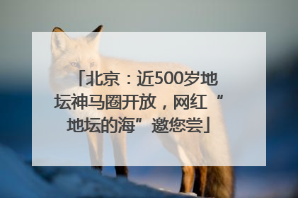 北京：近500岁地坛神马圈开放，网红“地坛的海”邀您尝