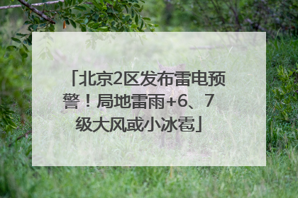 北京2区发布雷电预警！局地雷雨+6、7级大风或小冰雹