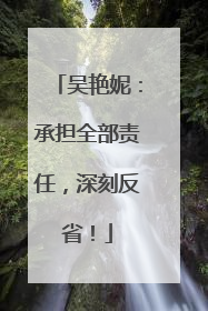 吴艳妮：承担全部责任，深刻反省！