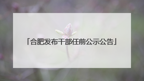 合肥发布干部任前公示公告