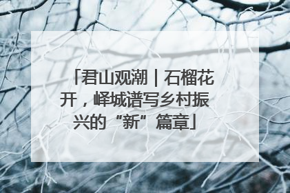 君山观潮｜石榴花开，峄城谱写乡村振兴的“新”篇章