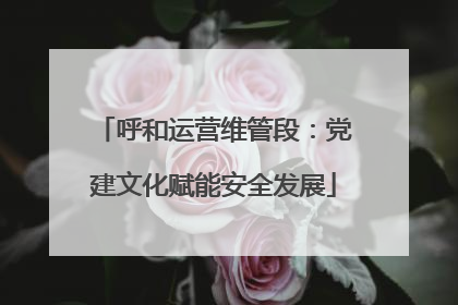 呼和运营维管段：党建文化赋能安全发展