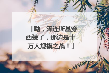 呦，泽连斯基穿西装了，那边是十万人规模之战！