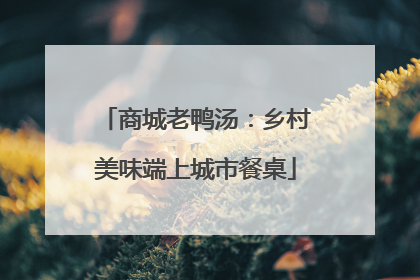 商城老鸭汤：乡村美味端上城市餐桌
