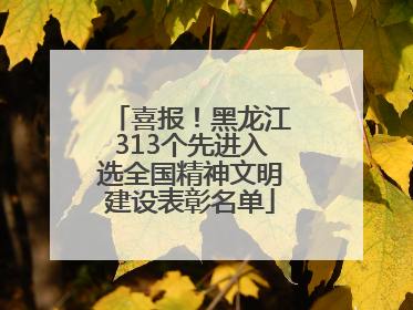 喜报！黑龙江313个先进入选全国精神文明建设表彰名单