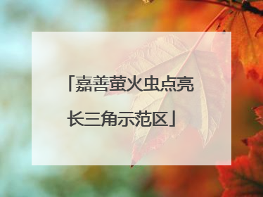嘉善萤火虫点亮长三角示范区