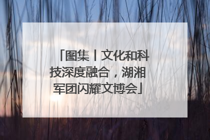 图集丨文化和科技深度融合，湖湘军团闪耀文博会