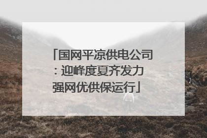 国网平凉供电公司：迎峰度夏齐发力 强网优供保运行