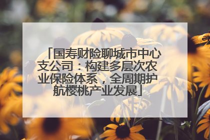 国寿财险聊城市中心支公司：构建多层次农业保险体系，全周期护航樱桃产业发展