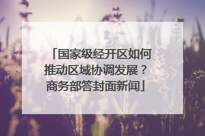 国家级经开区如何推动区域协调发展？商务部答封面新闻