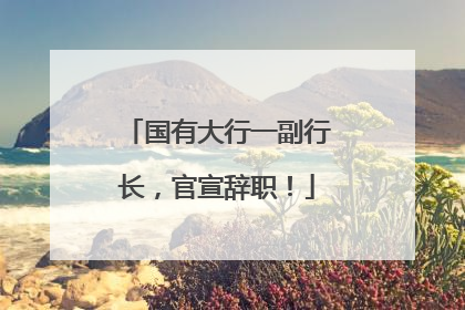 国有大行一副行长，官宣辞职！