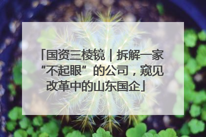 国资三棱镜｜拆解一家“不起眼”的公司，窥见改革中的山东国企