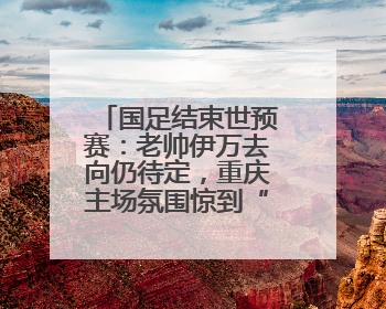 国足结束世预赛：老帅伊万去向仍待定，重庆主场氛围惊到“退钱哥”