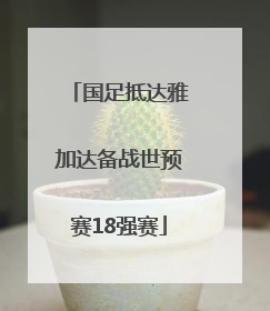 国足抵达雅加达备战世预赛18强赛