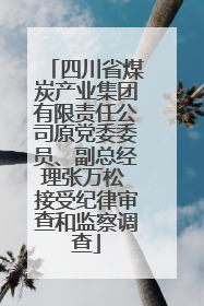 四川省煤炭产业集团有限责任公司原党委委员、副总经理张万松 接受纪律审查和监察调查