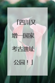 四川又增一国家考古遗址公园！