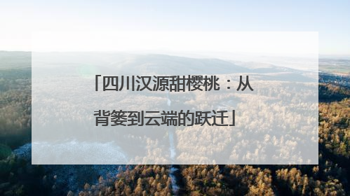 四川汉源甜樱桃：从背篓到云端的跃迁