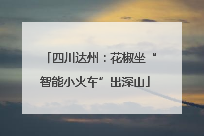四川达州：花椒坐“智能小火车”出深山