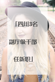 四川3名副厅级干部任新职