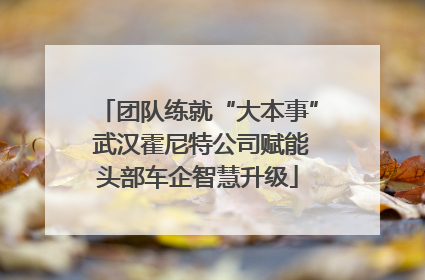 团队练就“大本事” 武汉霍尼特公司赋能头部车企智慧升级