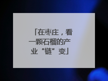在枣庄，看一颗石榴的产业“链”变