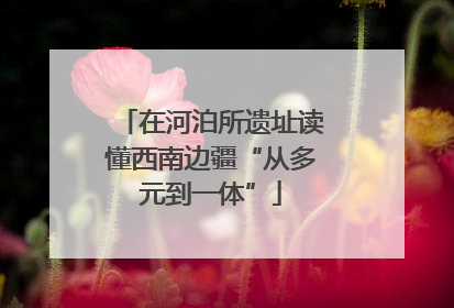 在河泊所遗址读懂西南边疆“从多元到一体”