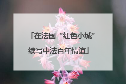 在法国“红色小城”续写中法百年情谊