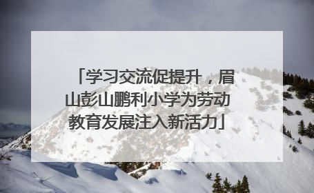 学习交流促提升，眉山彭山鹏利小学为劳动教育发展注入新活力