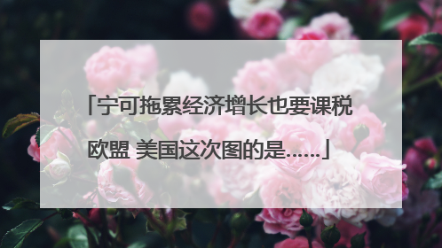 宁可拖累经济增长也要课税欧盟 美国这次图的是……