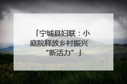 宁城县妇联：小庭院释放乡村振兴“新活力”