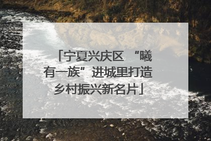 宁夏兴庆区 “曦有一族”进城里打造乡村振兴新名片
