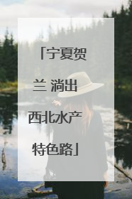 宁夏贺兰 淌出西北水产特色路