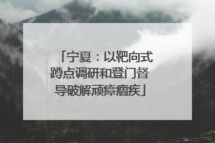 宁夏：以靶向式蹲点调研和登门督导破解顽瘴痼疾