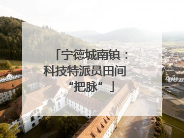 宁德城南镇：科技特派员田间“把脉”