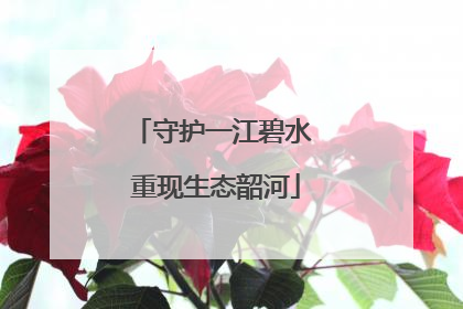 守护一江碧水 重现生态韶河