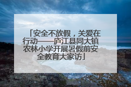 安全不放假，关爱在行动——庐江县同大镇农林小学开展暑假前安全教育大家访