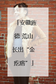安徽旌德 荒山长出“金疙瘩”