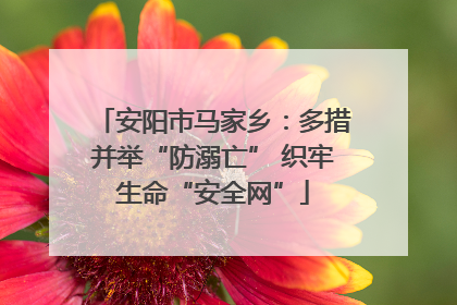 安阳市马家乡：多措并举“防溺亡” 织牢生命“安全网”