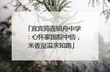 宜宾筠连镇舟中学：心怀家国粽中情，米香漫溢求知路
