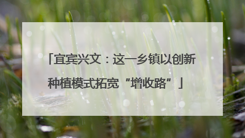 宜宾兴文：这一乡镇以创新种植模式拓宽“增收路”